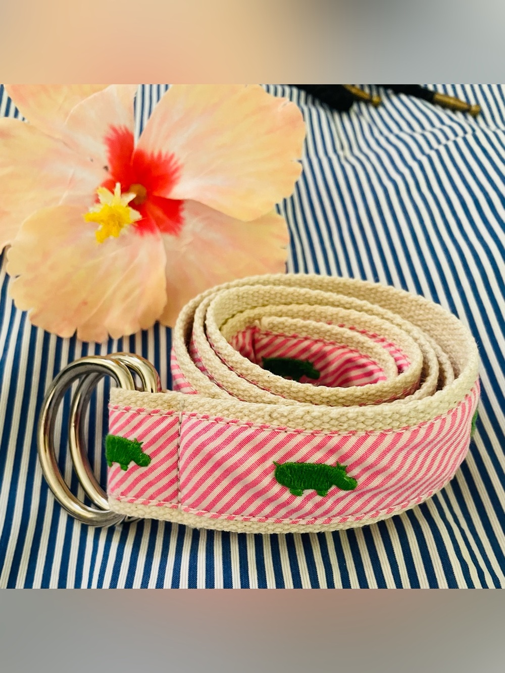 J. Crew Pink Striped Belt with Green Embroidered Hippo and Silver Rings